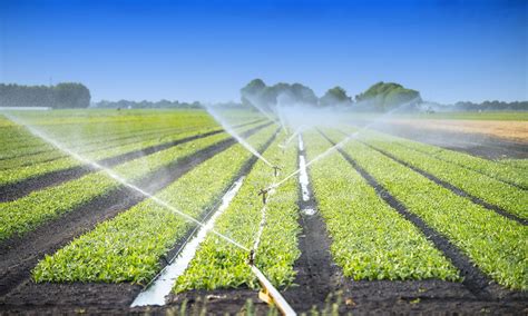 Adapting Your Irrigation System To Climate Change