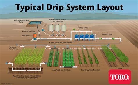 Case Studies: Successful Irrigation System Installations