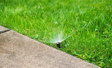 Common Mistakes To Avoid When Installing An Irrigation System