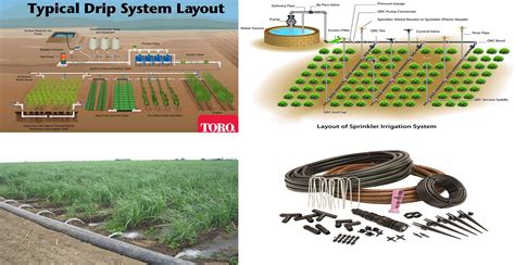 Comparing Different Irrigation Installation Techniques