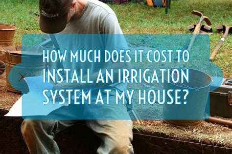 Discussing The Costs: How To Lay An Irrigation System