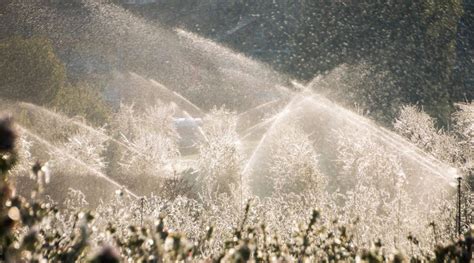 Educating Your Family On The Importance Of Irrigation Winterization