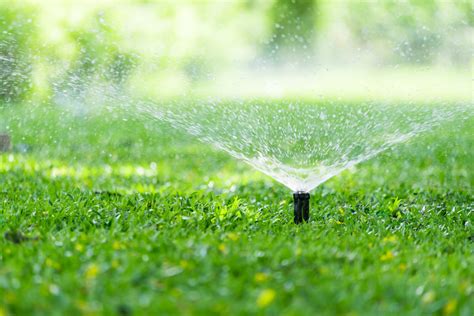 Environmental Benefits Of Laying An Irrigation System