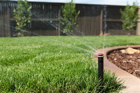 Essential Tips For Installing A Landscape Irrigation System