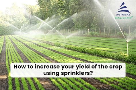 How An Irrigation System Can Increase Crop Yields