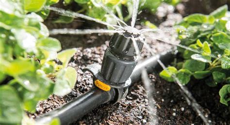 How Long Should You Run Irrigation System For Different Plant Types