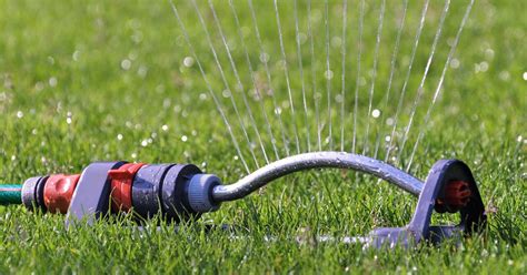 How Long Should You Run Irrigation System For Grass Seed Establishment