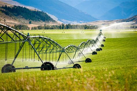 How Long Should You Run Irrigation System For Optimal Growth