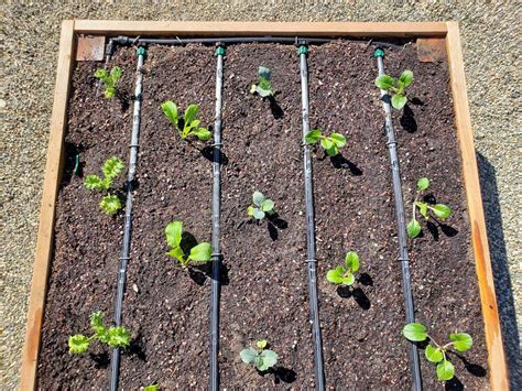 How Long Should You Run Irrigation System In Raised Beds