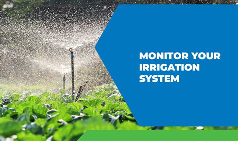 How Long Should You Run Irrigation System To Prevent Overwatering