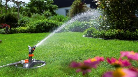 How To Choose The Right Irrigation System For Your Garden