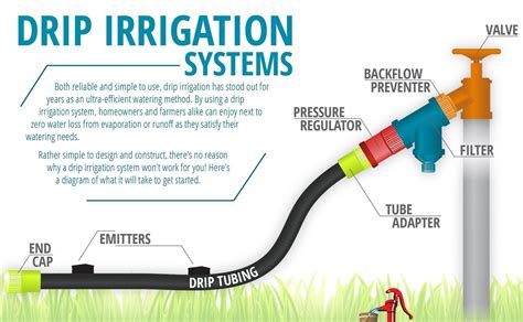 How To Evaluate The Efficiency Of Your Irrigation System