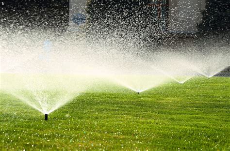 How To Lay An Irrigation System For Maximum Water Efficiency