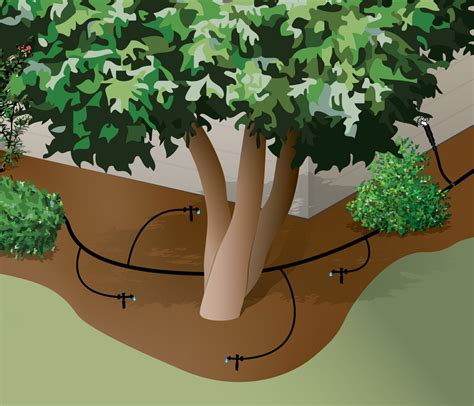 How To Lay An Irrigation System For Trees And Shrubs