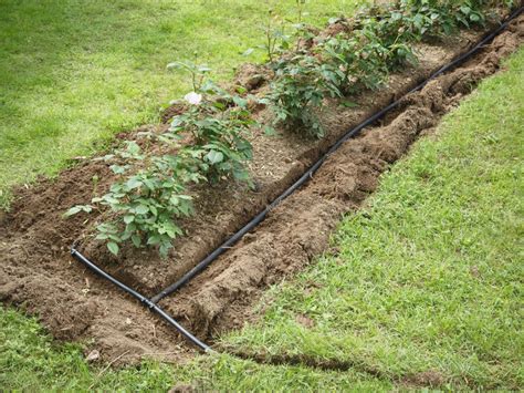 How To Lay An Irrigation System In Sandy Soils