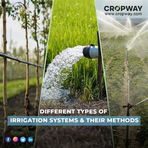 Irrigation System Types: How Long Should You Run Each One