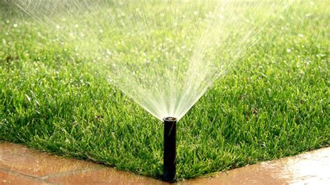 Optimizing Your Lawn: How Long Should You Run Irrigation System