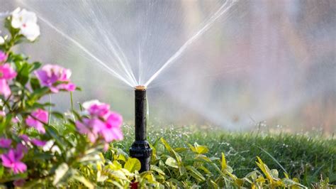 Preparing Your Yard For Irrigation System Installation