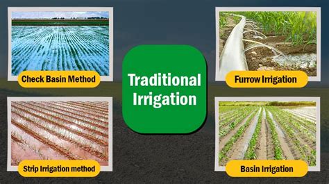 The Cultural Significance Of Traditional Irrigation Systems