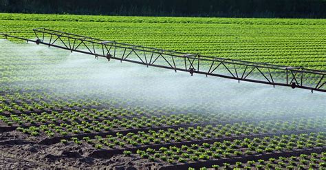 The Evolution Of What Is Irrigation System Through History