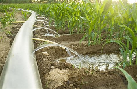 The Importance Of Understanding What Is Irrigation System