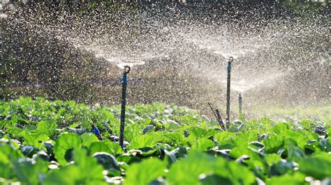 The Role Of Public Awareness In What Is Irrigation System