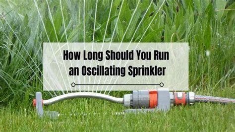 The Science Behind How Long You Should Run Irrigation System