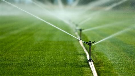 Top Questions Answered About How To Drain Irrigation System