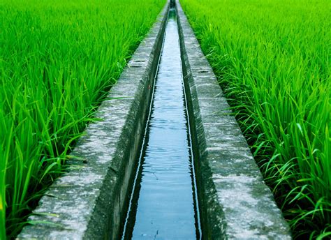 What Is Irrigation System And Its Economic Impact?