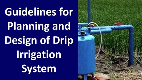 What Is Irrigation System: Assessing Your Water Needs