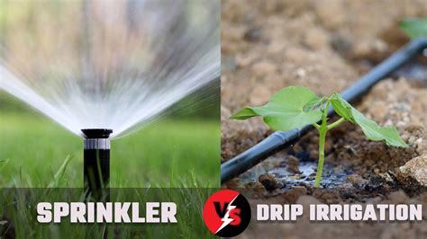 What Is Irrigation System: Drip vs. Sprinkler Systems