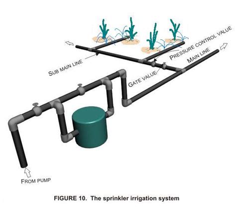 What Is Irrigation System: Key Components Explained