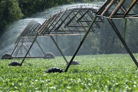 What Is Irrigation System: Understanding Water Conservation