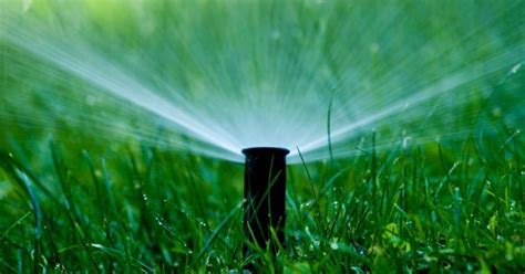 Why Professionals Recommend Winterizing Irrigation Systems